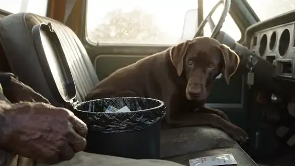 A weathered hand closing the lid of a small trash can on a truck floor while a brown dog watches from the passenger seat